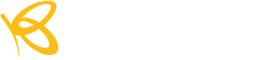 Flutterwave