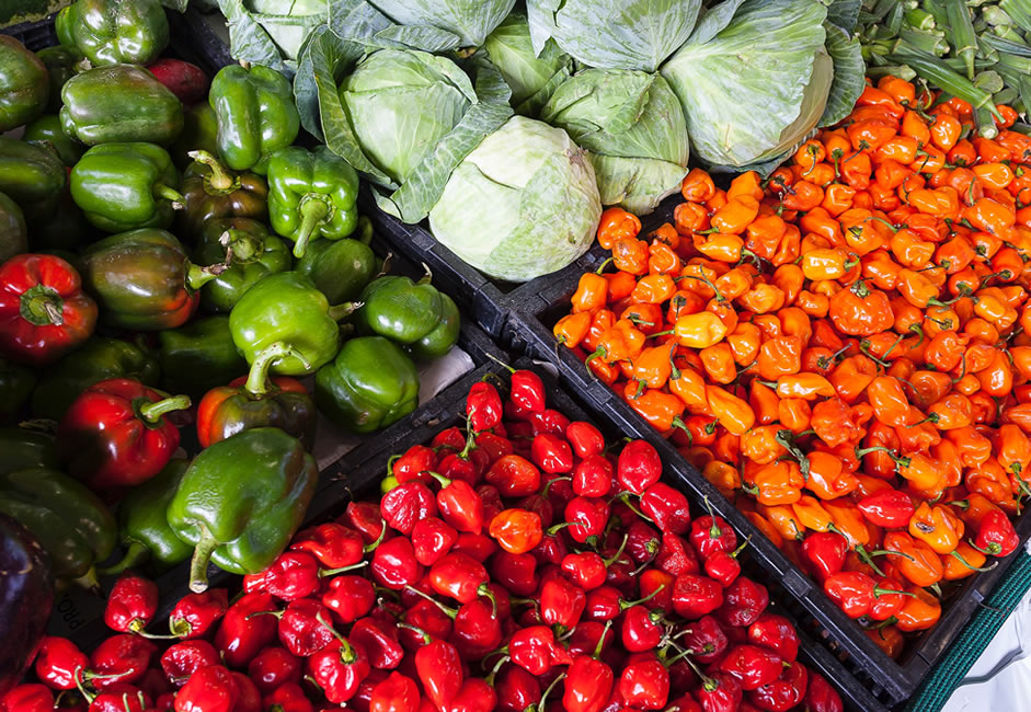 Sustainable Agriculture & Food Security